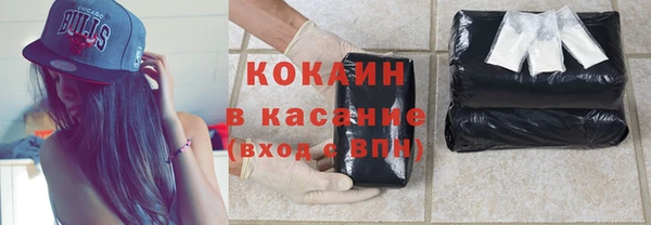 бошки Бородино