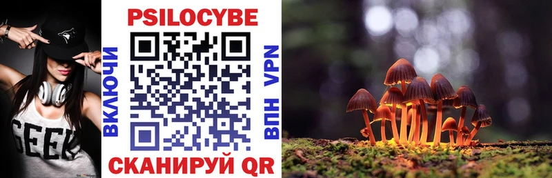 Купить  Юхнов  Галлюциногенные грибы GOLDEN TEACHER 